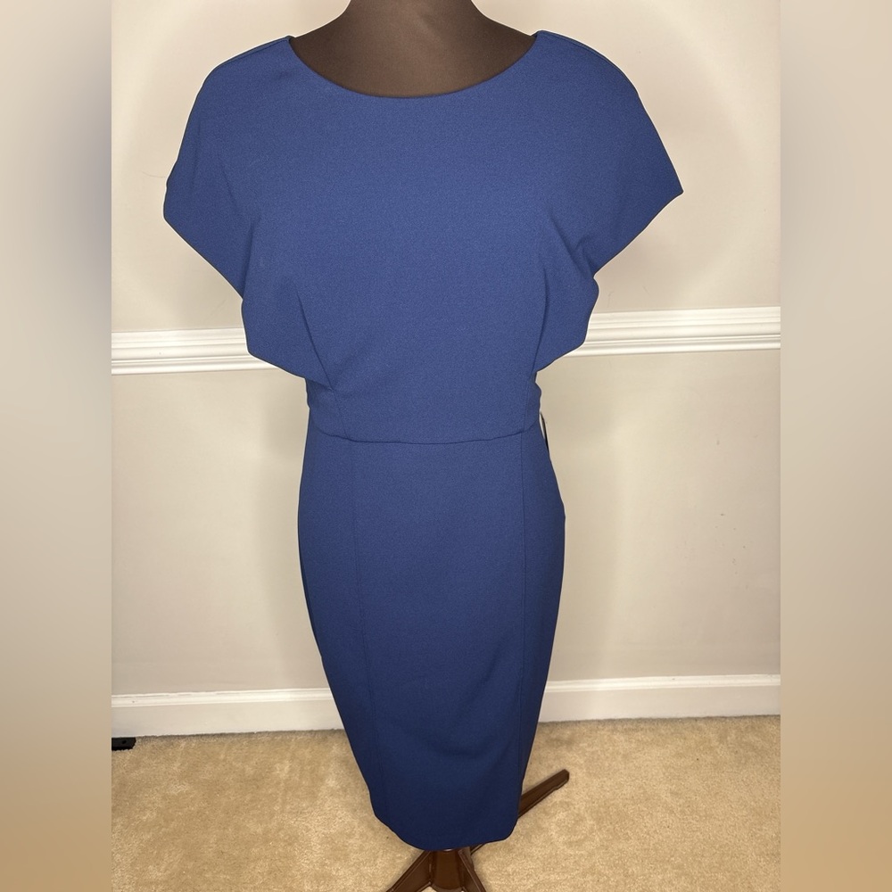 Express Women’s Cap Sleeve Zipper Back Sheath Midi Dress